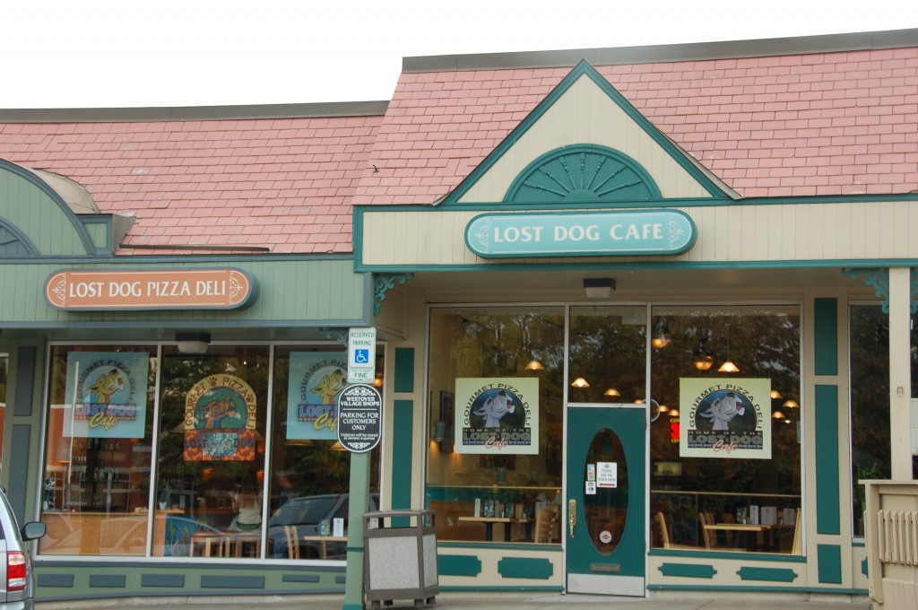 #122 - Stop in at Lost Dog Cafe - All Around Arlington