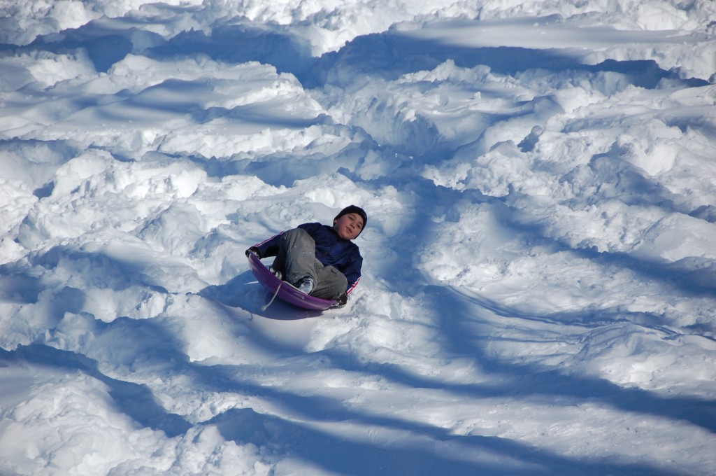 Let's Go Sledding! - All Around Arlington