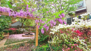 Celebrate Virginia Garden Week