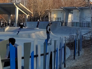 Powhatan Skate Park Arlington