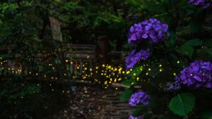 Come to the Annual Firefly Festival