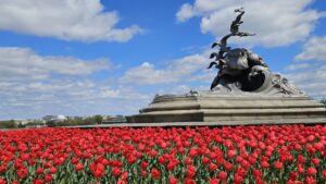 navy merchant marine memorial