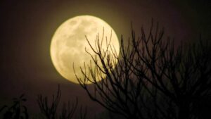 Watch the Supermoon Rise Over Washington