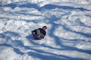 sledding in arlington va