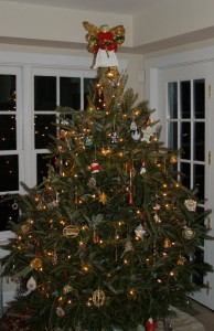 Christmas Tree Collection in Arlington County VA