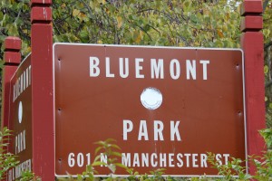 Bluemont Park Arlington VA