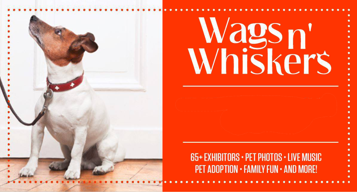 #142 - Visit Shirlington Village for Wags 'N' Whiskers