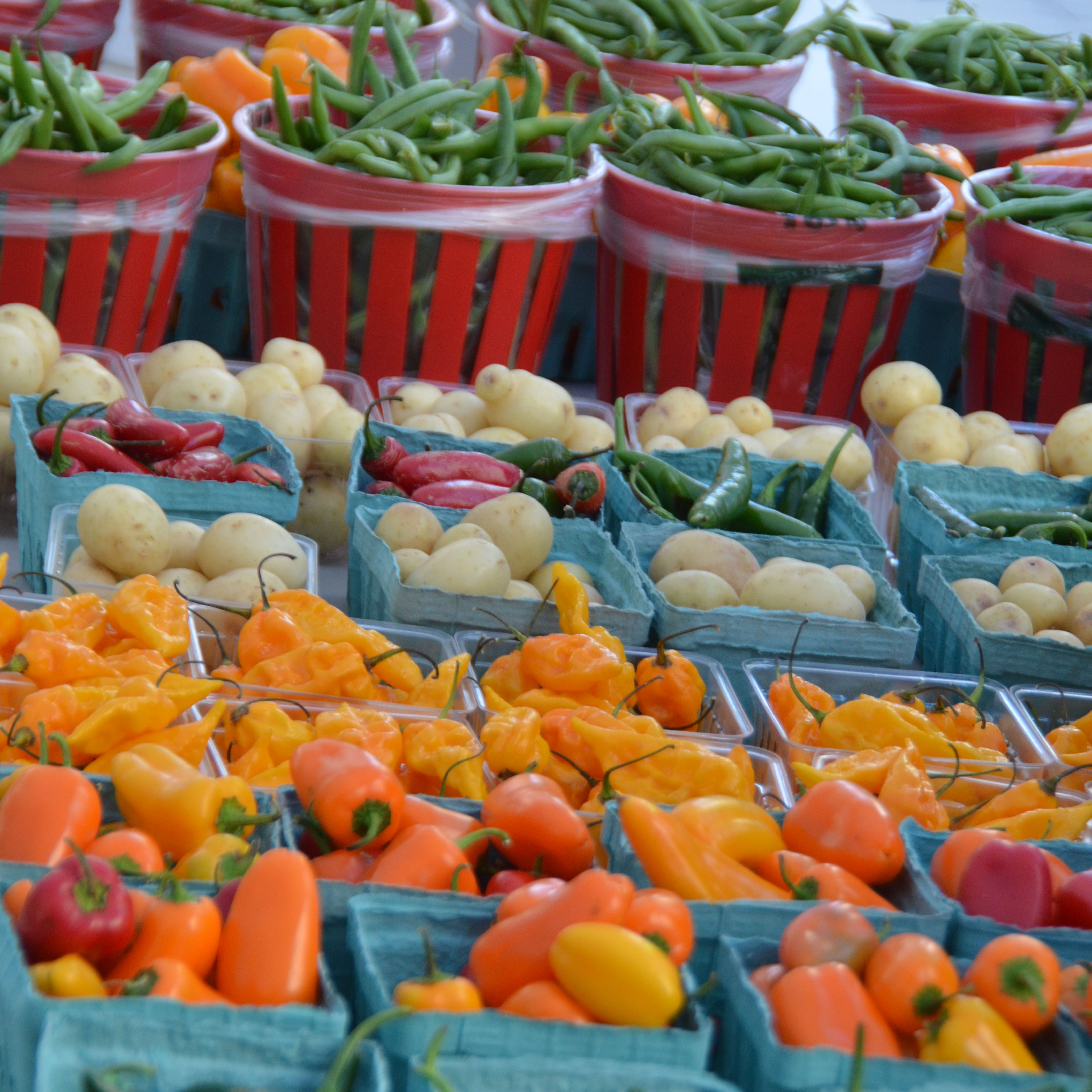 Farmers Market Arlington