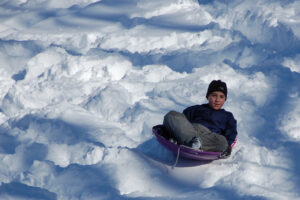 Go Sledding