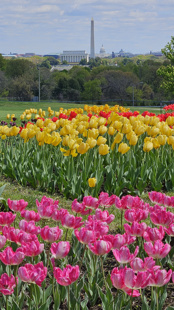 Netherlands Carillon and view of monuments