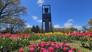 Netherlands Carillon