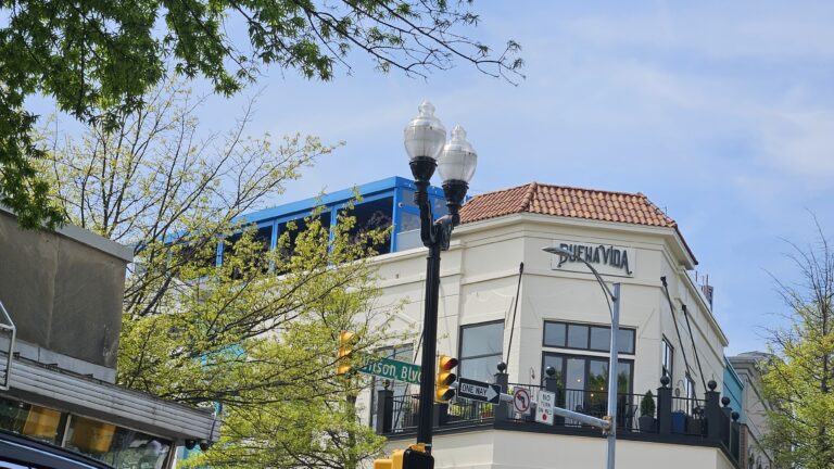 Dine on the Rooftop at Buena Vida
