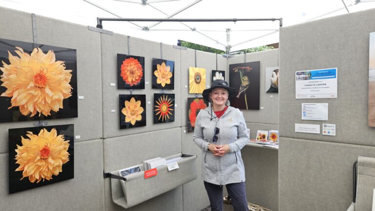 #271 – Attend the Arlington Arts Festival