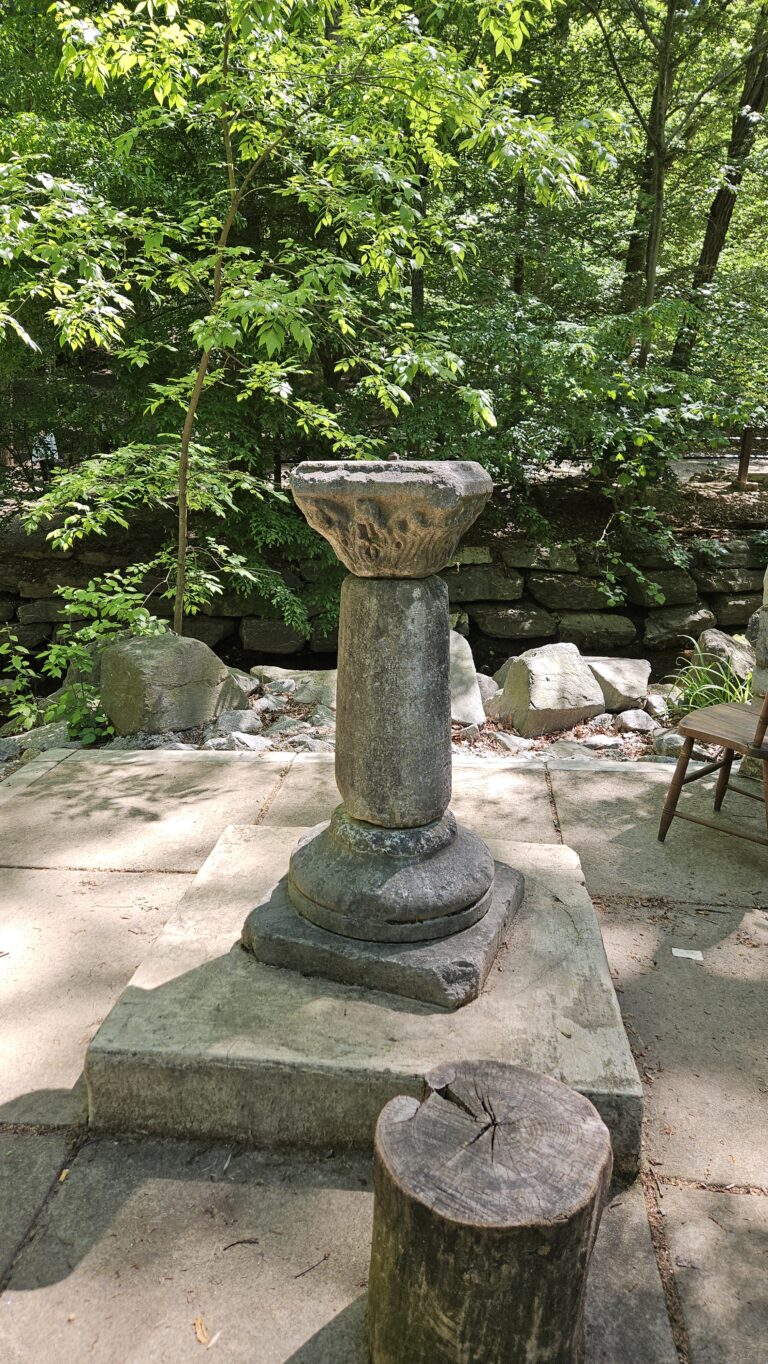 Take a Guided Walking Tour of George Washington’s Forest