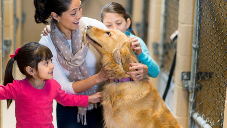 Adopt a Pet
