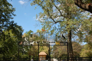 Shirlington Dog Park