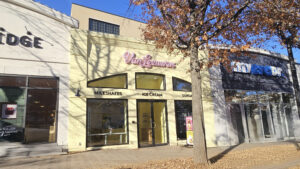 Enjoy Ice Cream at Van Leeuwen