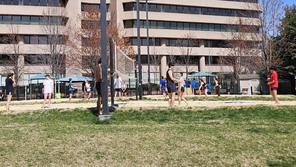 Spike, Set, Serve — Where to Play Volleyball in Arlington