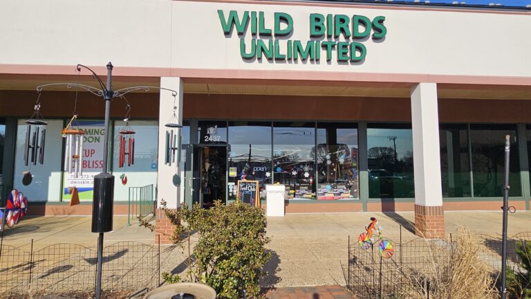Feed the Birds
